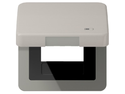 Product image Jung CD 590 KL USB PT Frame 1 gang platinum
