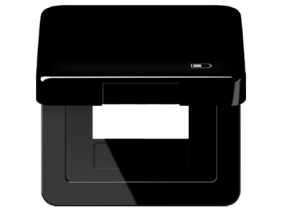 Product image Jung CD 590 KL USB SW Frame 1 gang black
