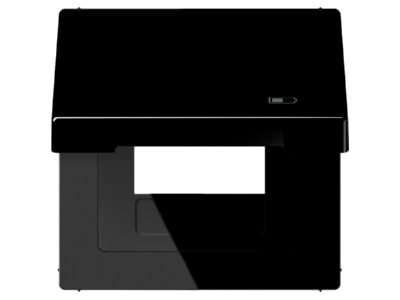 Product image Jung LS 990 BFKL USB SW Frame 1 gang black
