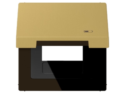 Product image Jung ME 2990 KL USB C Frame 1 gang brass
