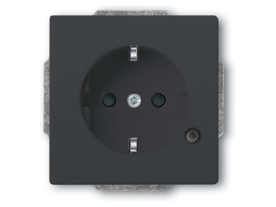Product image Busch Jaeger 20 EUCBL 81 Socket outlet  receptacle 
