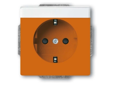 Product image Busch Jaeger 20 EUCNB 14 82 Socket outlet  receptacle 
