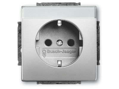 Product image Busch Jaeger 20 EUCNB 866 Socket outlet  receptacle 
