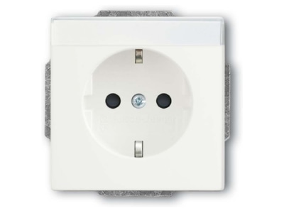 Product image Busch Jaeger 20 EUCNB 884 Socket outlet  receptacle 

