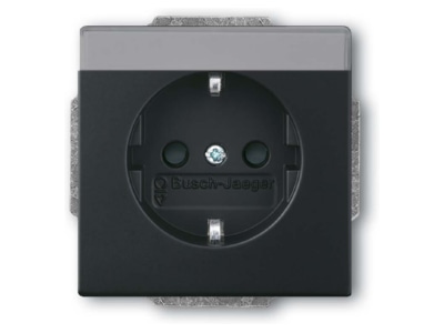 Product image Busch Jaeger 20 EUCNB 885 Socket outlet  receptacle 
