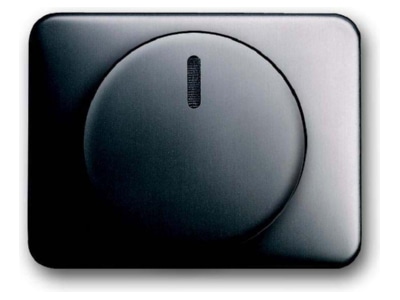 Produktbild Busch Jaeger 6540 20 Zentralscheibe pla fuer Drehdimmer