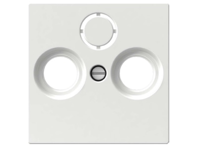 Product image 1 Elso WDE002445 Central cover plate SAT
