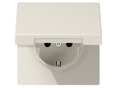 Product image Jung LS 1520 NKL Socket outlet  receptacle 
