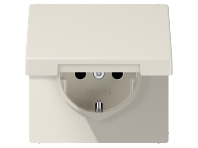 Product image Jung LS 1521 KL Socket outlet  receptacle 
