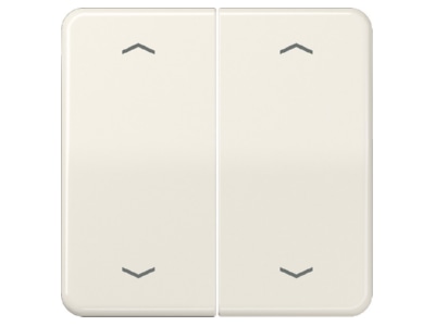Produktbild Jung CD 595 MP Wippe Symbole ws fuer Taster 2 fach