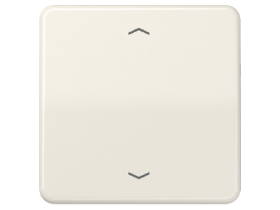 Produktbild Jung CD 590 P Wippe Symbole ws fuer Taster
