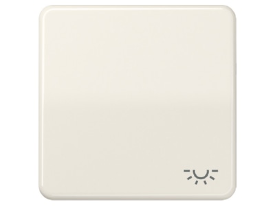 Produktbild Jung CD 590 L Wippe Symbol LICHT ws fuer Taster