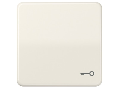 Produktbild Jung CD 590 T Wippe Symbol TUeR ws fuer Taster