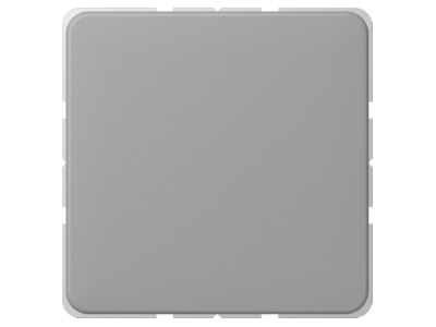 Produktbild Jung CD 594 0 GR Blind Abdeckung gr kompl mit Tragring
