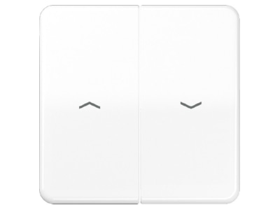 Produktbild Jung CD 595 PBF WW Wippe Symbole aws fuer Jal Schalter
