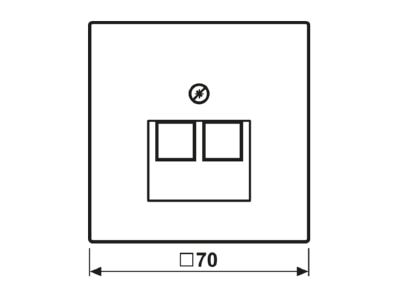 Ma�zeichnung Jung LS 969 2 UA LG Abdeckung lgr fuer IAE UAE Dose