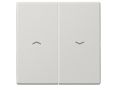 Produktbild Jung LS 995 P LG Wippe Symbole lgr fuer Taster
