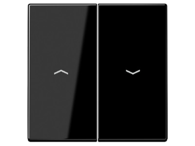 Produktbild Jung LS 995 P SW Wippe Symbole sw fuer Taster