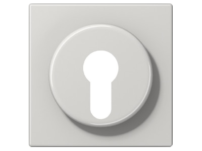 Product image Jung LS 928 LG Cover plate for switch grey
