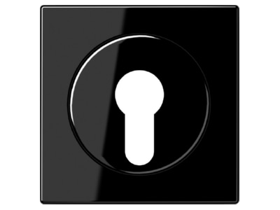 Product image Jung LS 928 SW Cover plate for switch black
