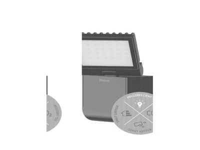 Product image Theben theLeda S8 100L BK Downlight spot floodlight
