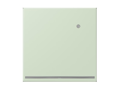 Product image Jung LC 1539 O LNW218 Plug in  night  light
