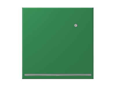 Product image Jung LC 1539 O LNW219 Plug in  night  light
