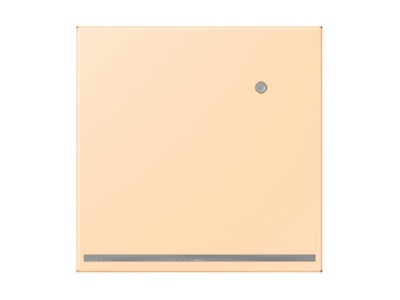 Product image Jung LC 1539 O LNW223 Plug in  night  light
