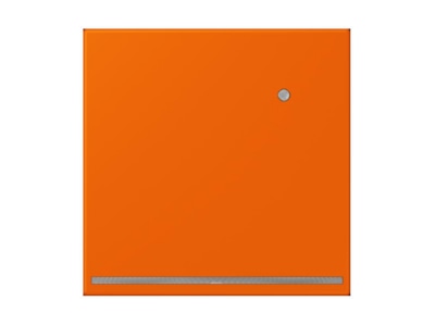Product image Jung LC 1539 O LNW224 Plug in  night  light
