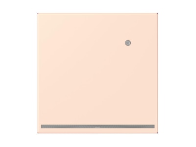 Product image Jung LC 1539 O LNW226 Plug in  night  light
