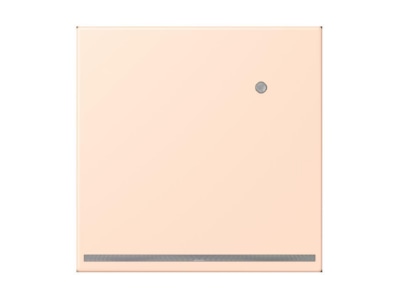 Product image Jung LC 1539 O LNW228 Plug in  night  light
