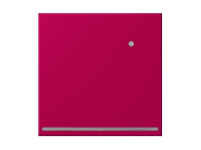 Product image Jung LC 1539 O LNW230 Plug in  night  light
