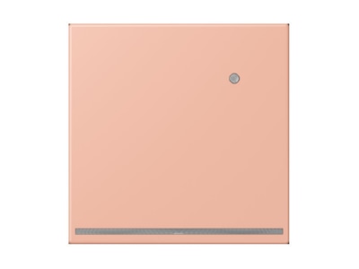Product image Jung LC 1539 O LNW231 Plug in  night  light
