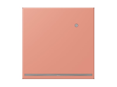 Product image Jung LC 1539 O LNW233 Plug in  night  light
