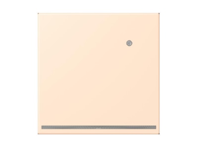 Product image Jung LC 1539 O LNW238 Plug in  night  light
