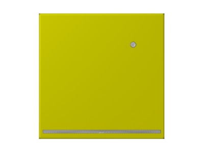 Product image Jung LC 1539 O LNW249 Plug in  night  light
