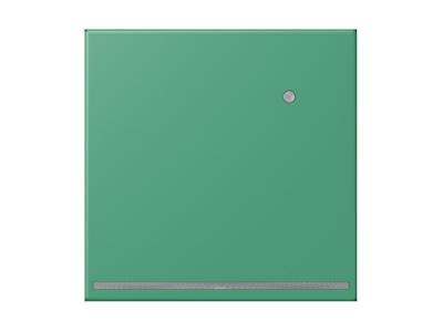 Produktbild Jung LC 1539 O LNW250 LED Orientierungslicht vert 59  4320G 