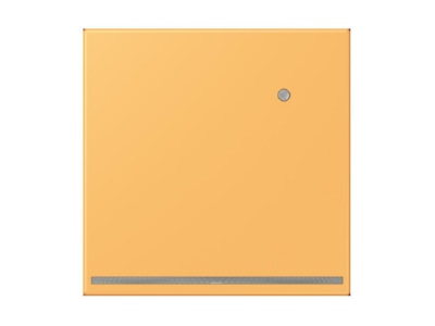 Product image Jung LC 1539 O LNW254 Plug in  night  light
