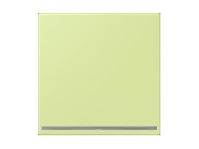 Product image Jung LC 1539 OO LNW222 Plug in  night  light
