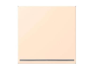 Product image Jung LC 1539 OO LNW238 Plug in  night  light
