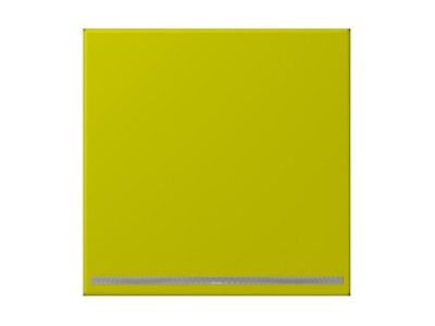 Product image Jung LC 1539 OO LNW249 Plug in  night  light
