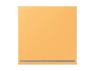 Product image Jung LC 1539 OO LNW254 Plug in  night  light
