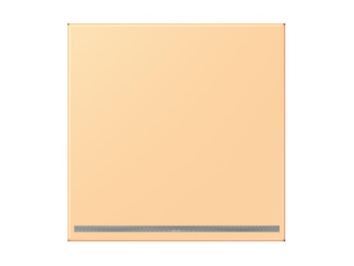 Product image Jung LC 1539 OO LNW258 Plug in  night  light
