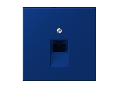 Product image Jung LC 969 1 UA261 Plate UAE IAE  ISDN 
