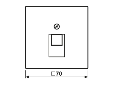 Dimensional drawing Jung LC 969 1 UA261 Plate UAE IAE  ISDN 