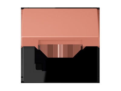 Product image Jung LC 990 BFKL233 Frame 1 gang
