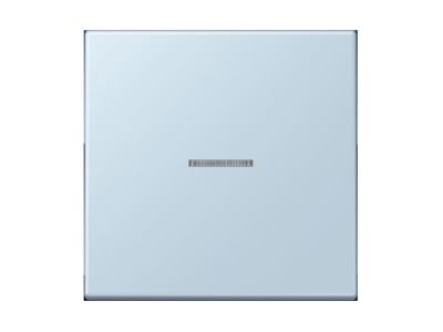Product image Jung LC 990 KO5208 Cover plate for switch push button

