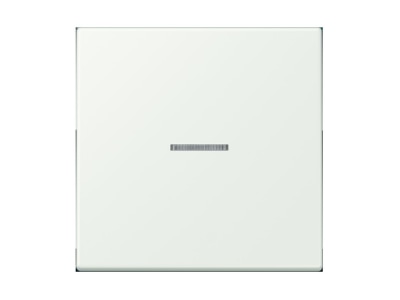 Product image Jung LC 990 KO5210 Cover plate for switch push button
