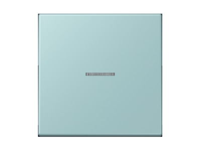 Product image Jung LC 990 KO5214 Cover plate for switch push button

