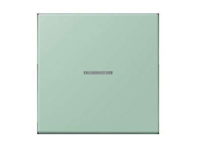 Product image Jung LC 990 KO5217 Cover plate for switch push button

